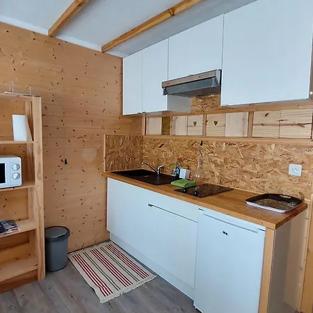 Apartment Cosy Avec Balcon Sud Et Animaux Admis, Proche Pistes - Fr-1-516-204 Les Deux Alpes