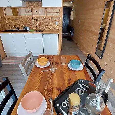 Cosy Avec Balcon Sud Et Animaux Admis, Proche Pistes - Fr-1-516-204 Les Deux Alpes